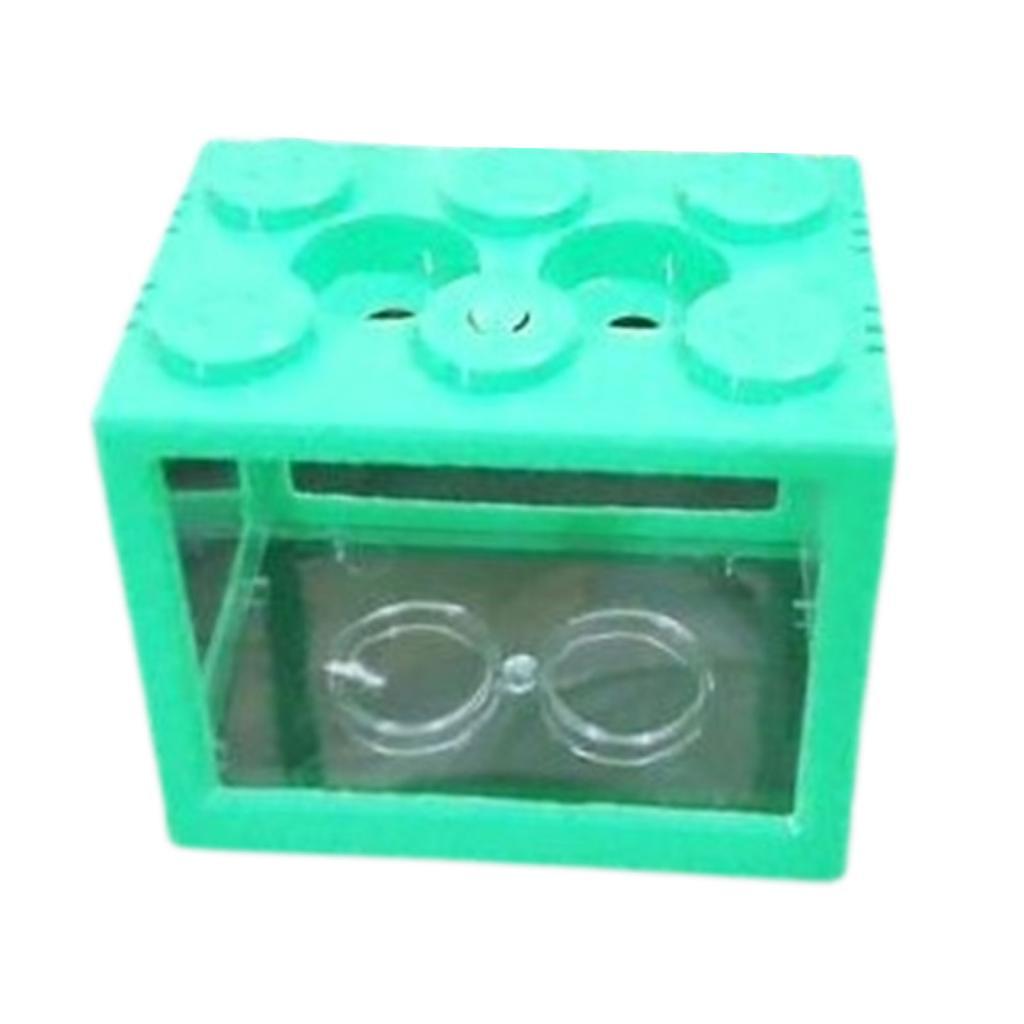 

Aquarium Tank Mini Building Blocks Spider Animal Desktop Box зелёный