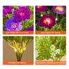 1 Pair Outdoor Solar Lights LED Flower Lamps Automatic On/Off IP44 Waterproof Easy to Install Wireless Garden Solar Lights