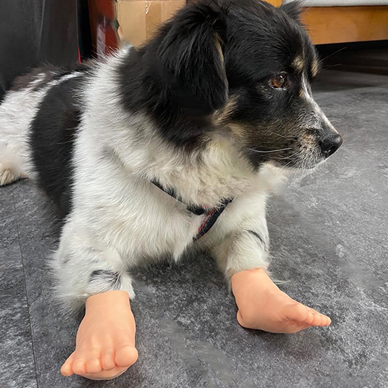 1 Paar kreative süße kleine Füße Puppe lustige kleine Füße Finger Neuheit Hund Teaser Spielzeug simulierte Füße Haustier Spielzeug Heimtierbedarf