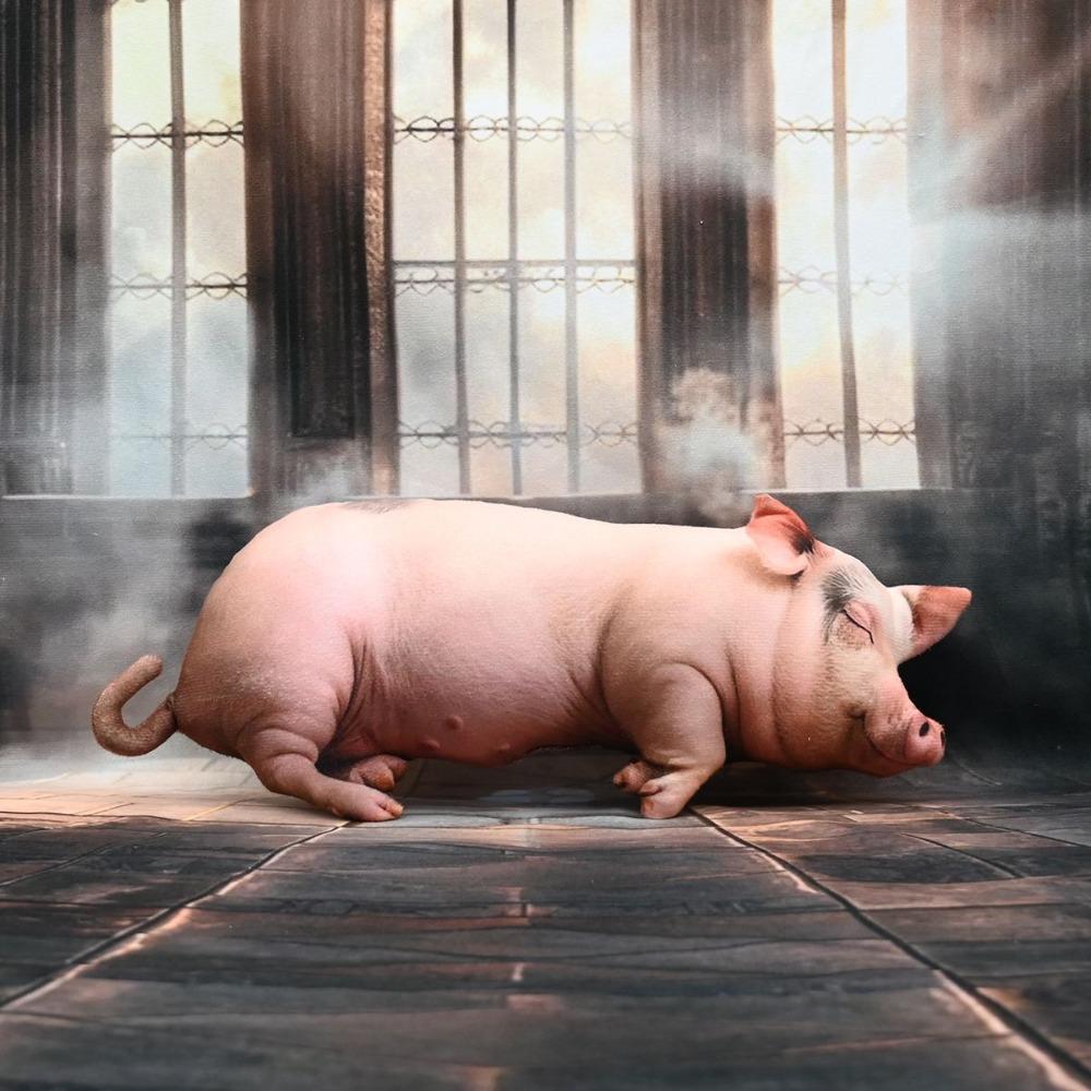40cm Size Animal Body Pillow Plush Material Pig Keychain Portable Bag Decoration  Home Decor