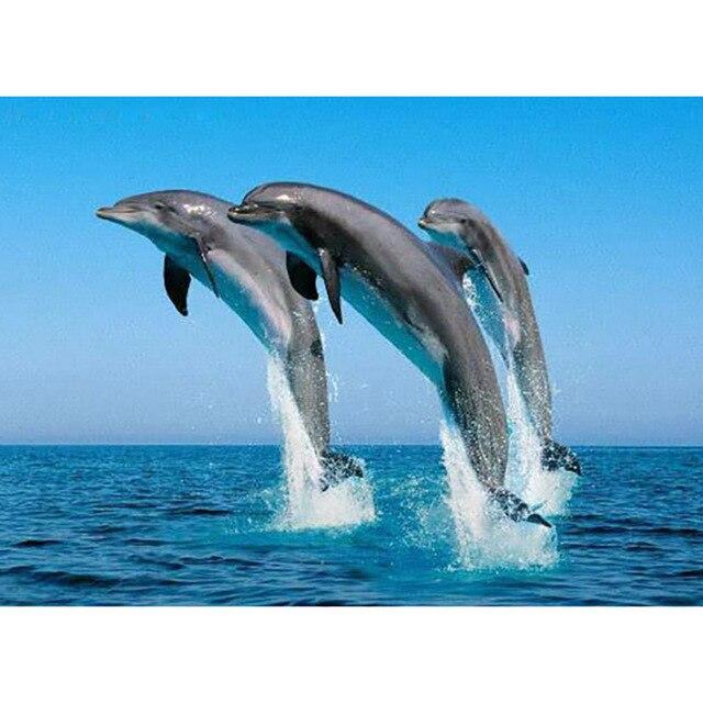 Animal Dolphins with Fish 5D Diy Diamond Painting Full Round Drill Mosaic Diamond Embroidery Rhinestones Home Decoration