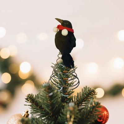 Decorazioni e accessori per feste – Decorazioni natalizie