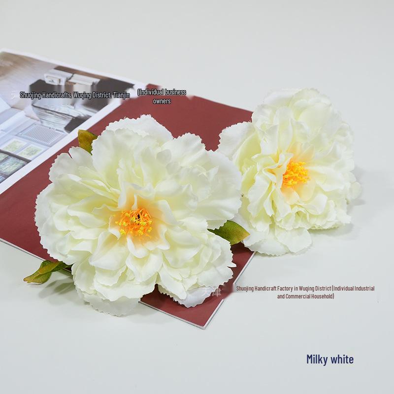 

Chinese Style Peony Oil Painting Headpiece & Round Fan Prop