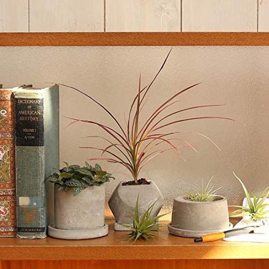 Dulton Cement Planter Round with Drain CEMENT POT ROUND Pot, Small, Type, Hole, G20-0219S