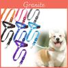 Hunde – Hundehalsbänder & Leinen
