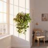 Plastic Fake Hanging Plants Handmade Realistic Vine Plants Simulation Greenery  Wall Decoration