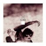 

CD KAORU INOUE, CHARI CHARI - In Time TFCC88245 Toy s Factory 2002 Japan Rap & Hip-Hop/R&B Used