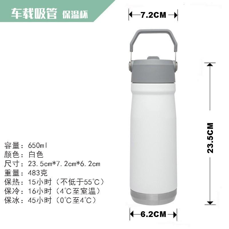 Stainless Steel Vacuum Insulated Travel Mug With Straw Lid 650ml Car Office Gym Outdoor Use