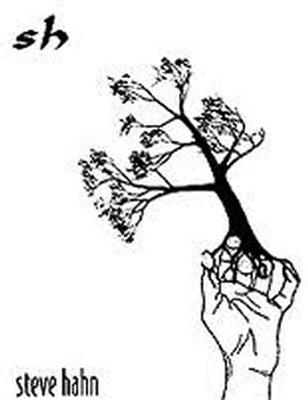 CD STEVE HAHN - Hahn,Steve  Non Japan World Music Used
