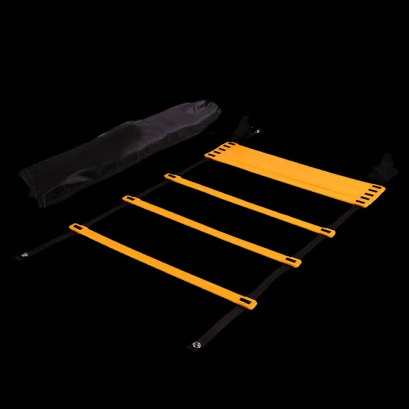 Agility Training Ladder