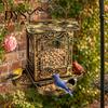 Bronze Texture Bird Feeder Retro Metal Feeder, Hanging with Transparent Acrylic Panels, Decorative Garden for Backyard Wild Birds Balcony