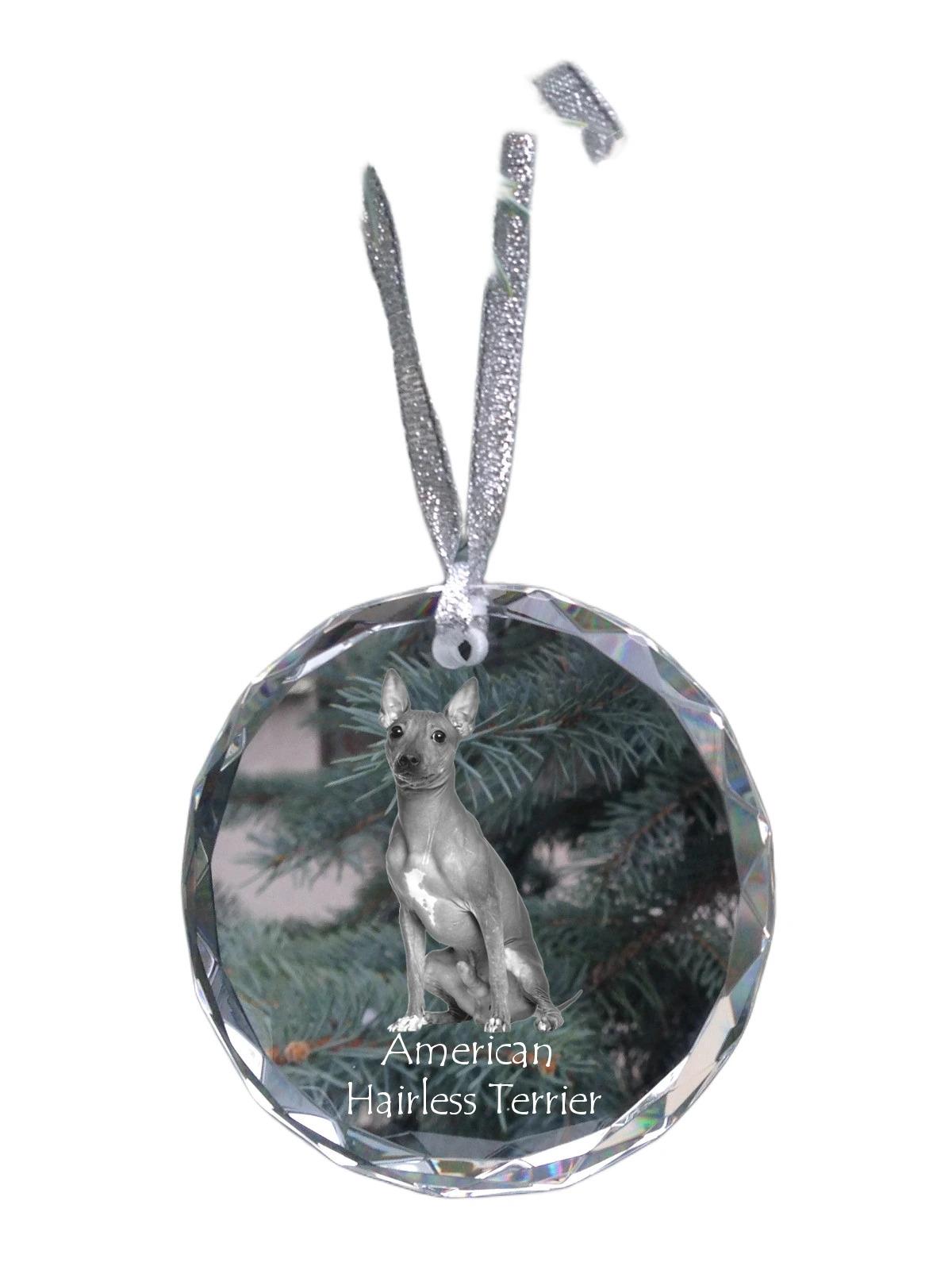 

American Hairless Terrier - crystal bauble with a photo, dog photo in crystal, personalized Christmas tree ornament by Art-Dog brand прозорий
