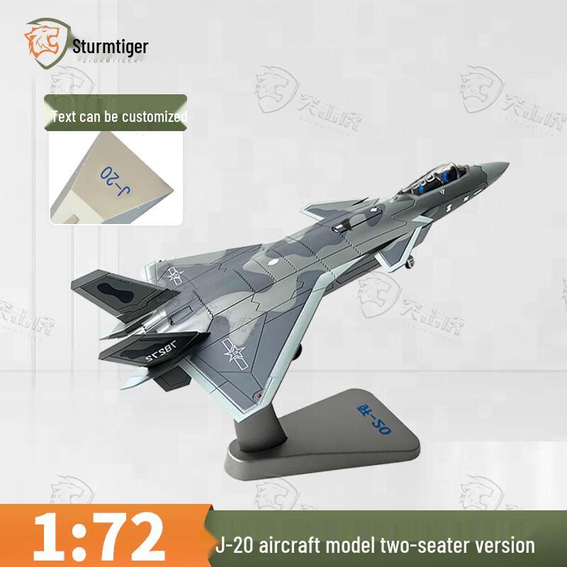 Assault Tiger J-20 Stealth Fighter Model