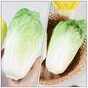 TOYMYTOY Fake Vegetable Artificial Realistic Chinese Cabbage Restaurant Display Green Model, Vegetables, Model, Prop,