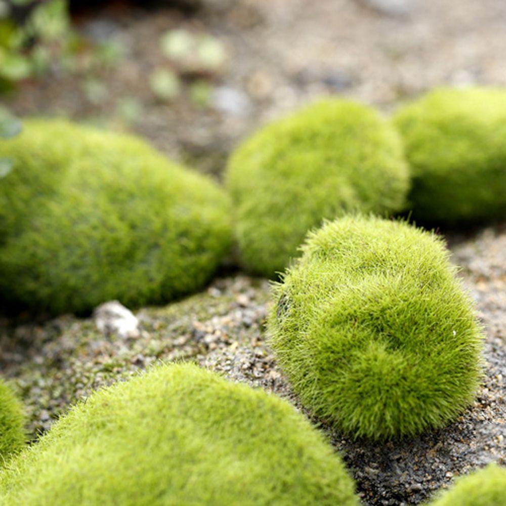Fake Landscape Stone Lawn Greenery Artificial Moss Plants Decor Floor Adornments Garden Decoration