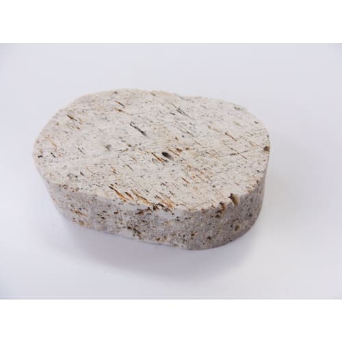 Towa Sangyo Heel Care SF Natural Pumice Stone