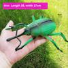Simulation Insect Small Animal Toy Ant Cricket Spider Scorpion Ladybug Simulation Animal Model Home Garden Ornaments Statues
