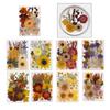 Natural Pressed Dried Flower For Epoxy Resin Dry Flowers and Leaves Set for Soap Candle Jewelry Making Scrapbooking