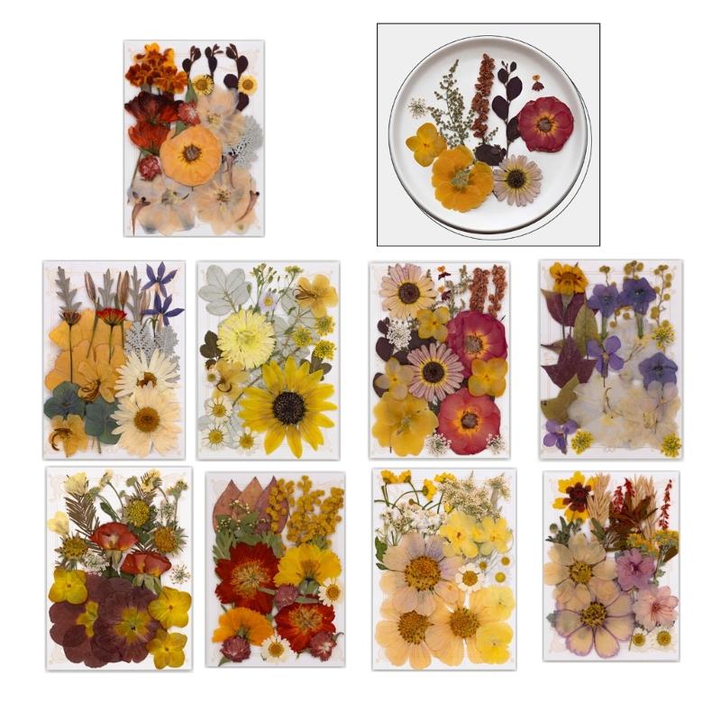 Natural Pressed Dried Flower For Epoxy Resin Dry Flowers and Leaves Set for Soap Candle Jewelry Making Scrapbooking