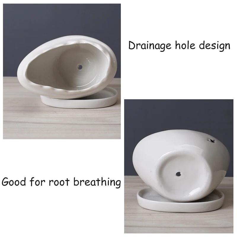 Creative Shark Ceramic Succulent Planter with Tray - Unique Animal Shape Flower Pot for Cactus/Bonsai/Indoor Plants - H