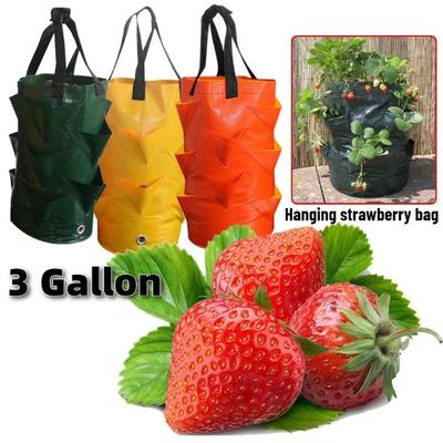 Vaso da Fiori Riutilizzabile Sacchi di Crescita in PE per Verdure Fiori Sacco per Piantagione Esterna Appeso Fragola Patata Vaso da Fiori