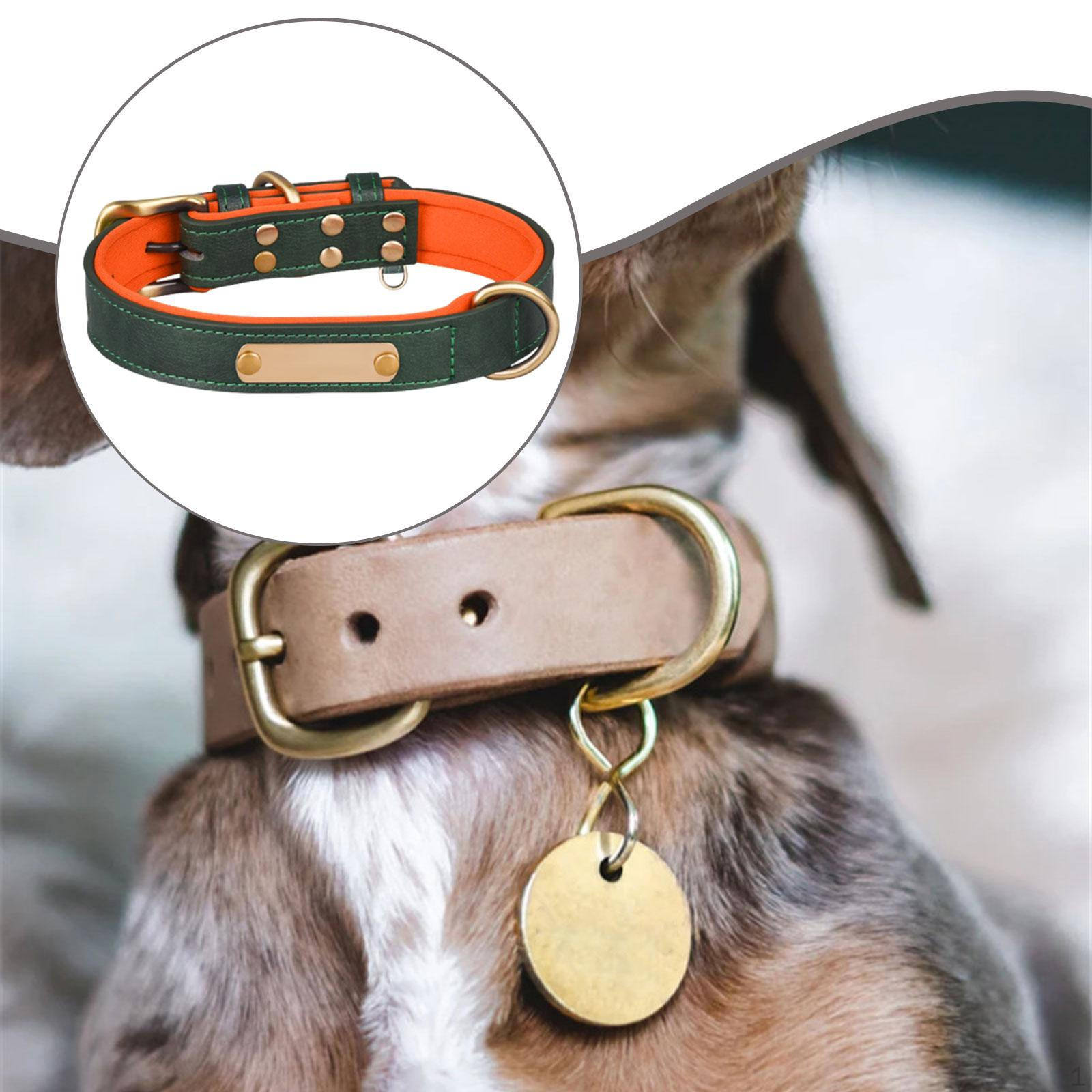 

Персонализированное ожерелье для собаки с гравируемой табличкой, регулируемый гравированный ID-жетон, имя на заказ Green XS