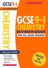The Chemistry Revision Guide for All Boards Book