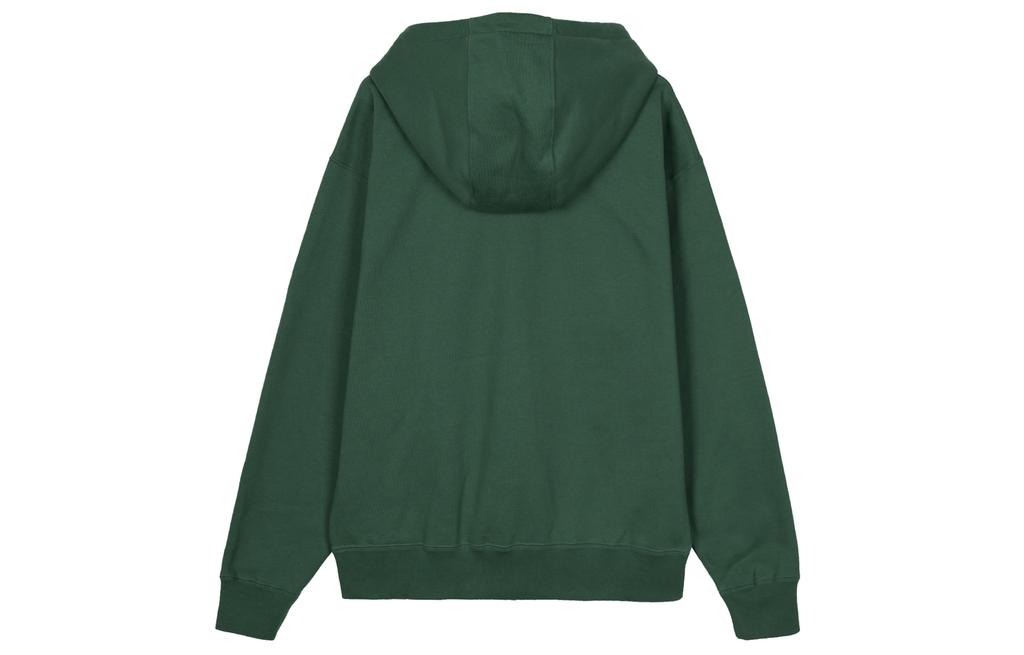 Nike Solo Swoosh Hoodie DX1356-323