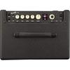 Fender Rumble™ LT25W Digital Bass Amp