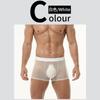 Full Mesh Transprent Underwear Men Sexy Ultra Sheer Boxer Trunks Seamless Underpants Bulge Pouch Panties Male Gay Smooth Knicker