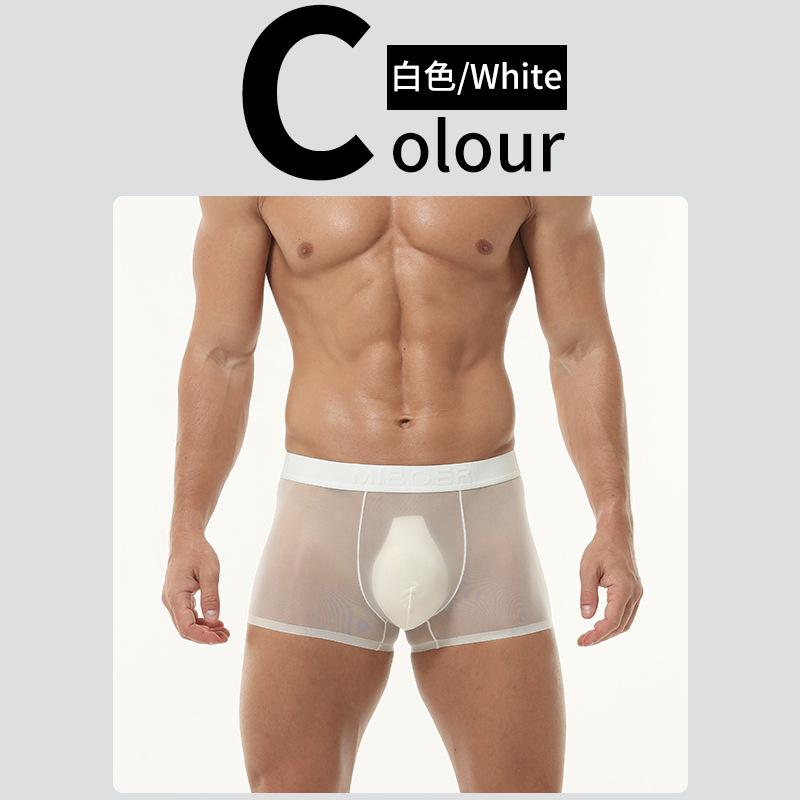 Full Mesh Transprent Underwear Men Sexy Ultra Sheer Boxer Trunks Seamless Underpants Bulge Pouch Panties Male Gay Smooth Knicker