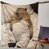 Vintage Capybara Print Blanket, A Warm, Cozy, and Soft Blanket - Large Size, Soft, Lightweight Warm, Suitable for All Seasons