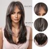 Long Gray Highlights Brown Synthetic Hair Wigs with Bangs Straight Daily Wig