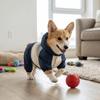 Waterproof Dog Hooded Jumpsuit Color-Block Dog Four Legged Clothes Winter Dog Clothes  Outdoor