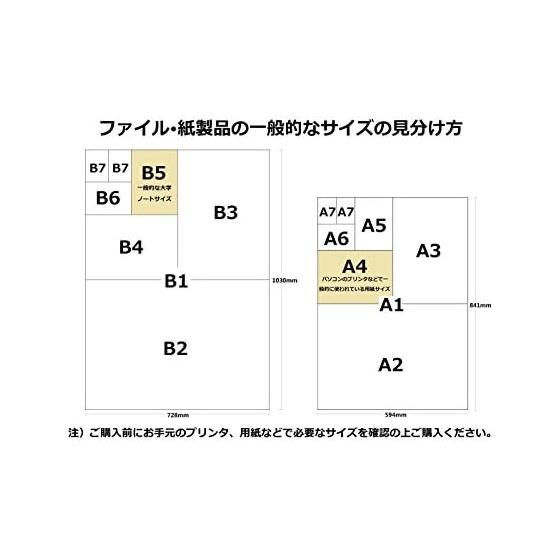 Nakabayashi Index File Box Document Storage Case F3 Clear Fubo I-F3C