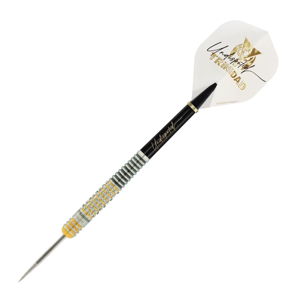 

Тринидад Рикардо Сейго Асада модель сталь