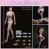 1/12 Scale Female Seamless Body With Super Flexible Articulation For Creative Play