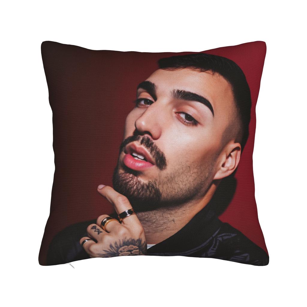 Rapper R-Rels B Pillow Cover  Novelty Pillow Case For Living Room Sofa Design Pillowcases Birthday Present