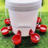 Automatic Poultry Drinker Chicken Drinking System Duck Water Dispenser Goose Turkey Rabbit Self Filling Feeding Drinking Bowl