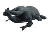 Takeoff Plush Toy Cotton Cloudy S Caucasus Beetle