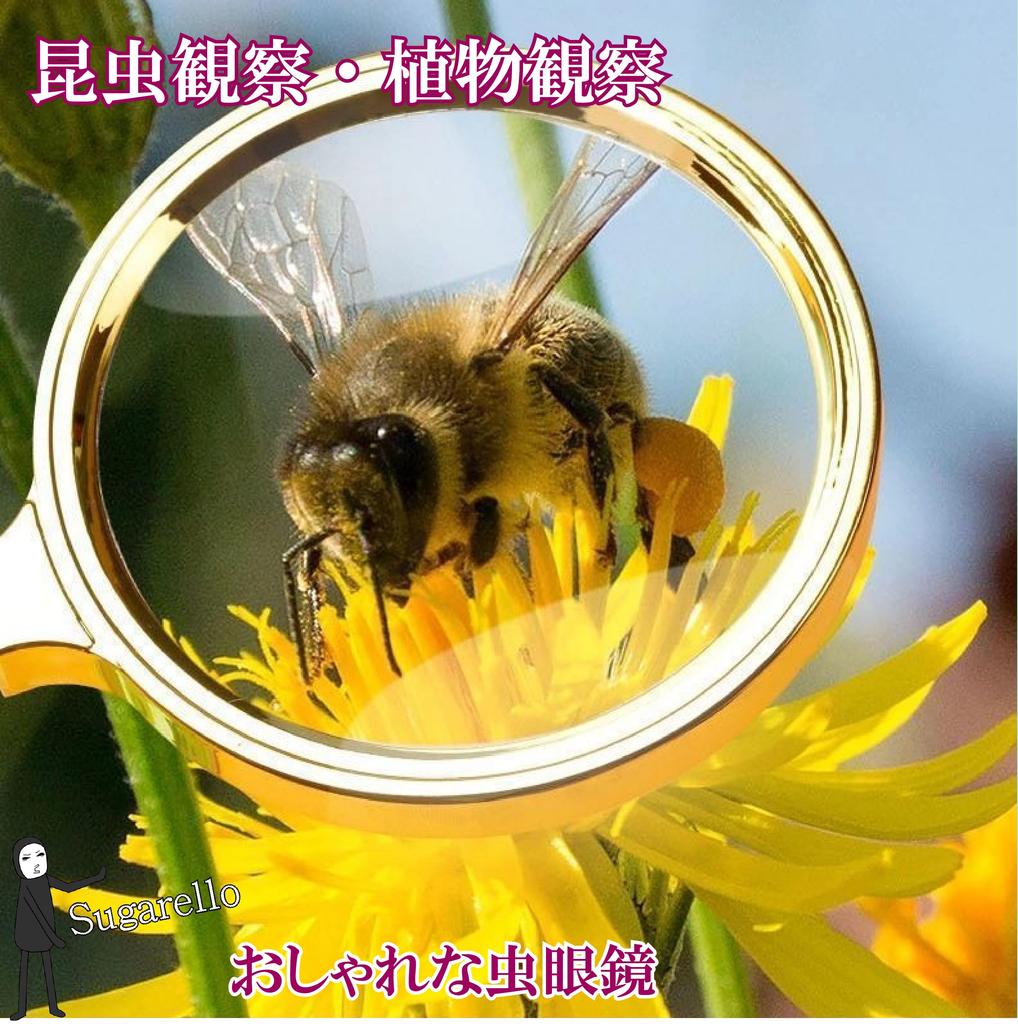 Sugarello 80mm Handheld Magnifying 10x Magnifying for Nature and More Glass, Glass, Portable, Seniors, Reading, Observation, Kids, Maps, Magazines,