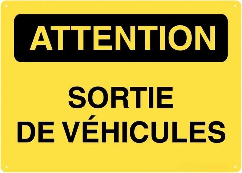 Hisun Tin Sign HD Tin Sign Bilingual Security Warning Wall Decor Retro French English Video Surveillance Metal Poster for Business Home