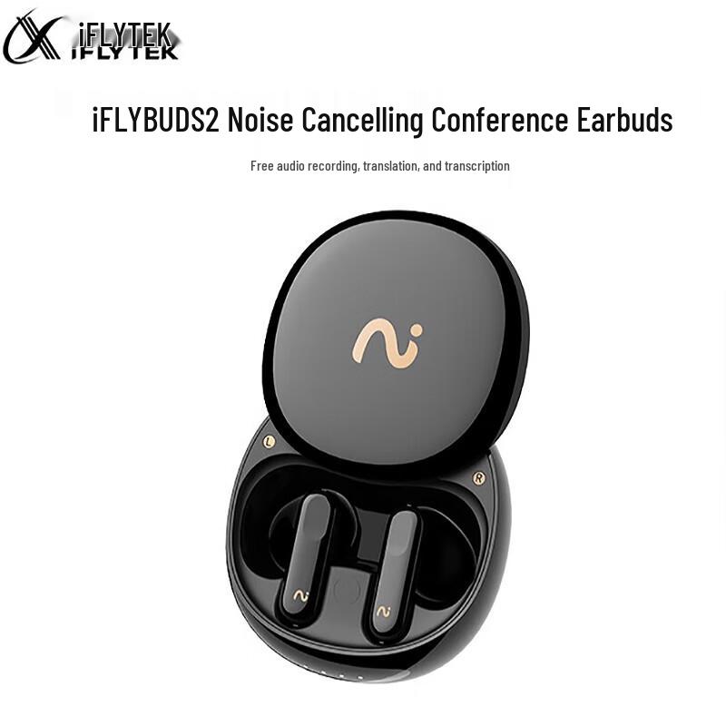 

iFLYTEK iFLYBUDS 2 AI Meeting Wireless Earbuds