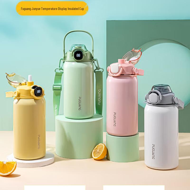 Fuguang 316L Smart Temp Insulated Straw Cup