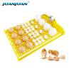 24 Eggs Incubator 12V 110V 220V Egg Tray Eggs Turning Automatic Egg Hatching Incubator for Quail  Goose Duck Bird Poultry