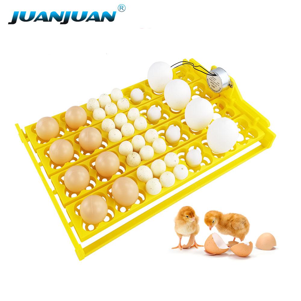 24 Eggs Incubator 12V 110V 220V Egg Tray Eggs Turning Automatic Egg Hatching Incubator for Quail  Goose Duck Bird Poultry