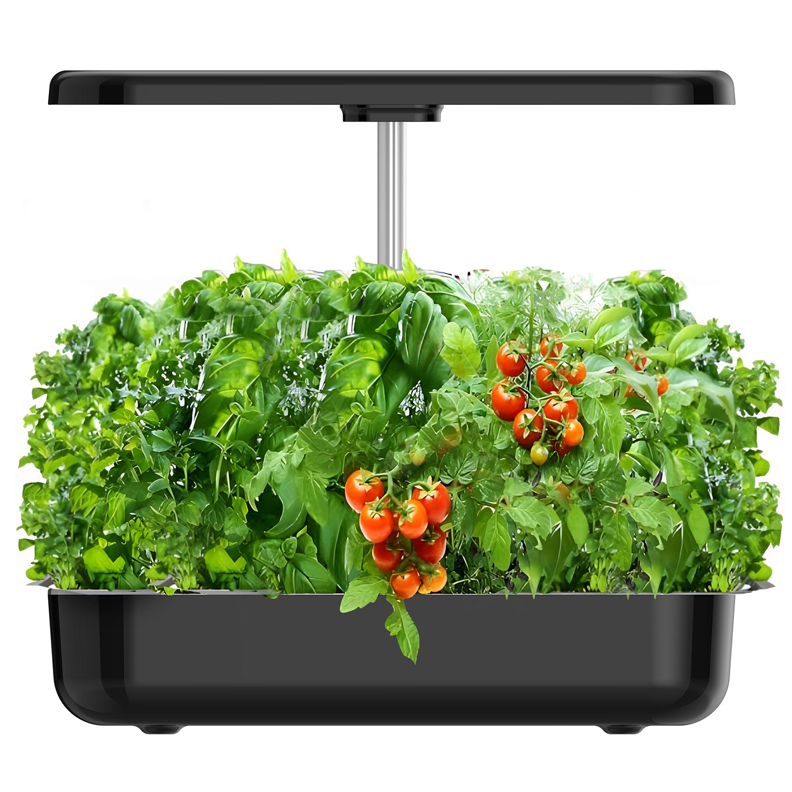 12 Pods Black