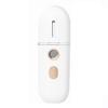 30ml Mini Portable Moisturizing Mist Spray Humidifier Facial Steamer Air Diffuser