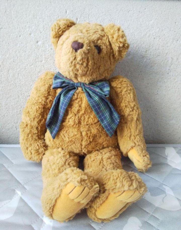 

[USED] Teddy bear stuffed animal