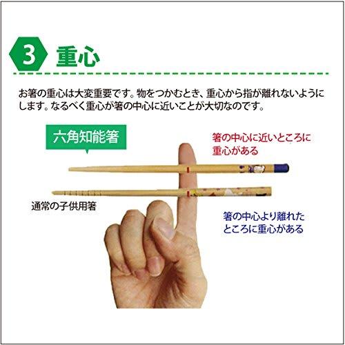 Hashisho Seiwa Hexagonal Intelligent Chopsticks, Plain (For 3rd and 4th Graders/18cm, Green)
